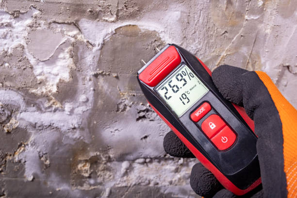 Best Mold Removal Company Near Me  in Sisters, OR