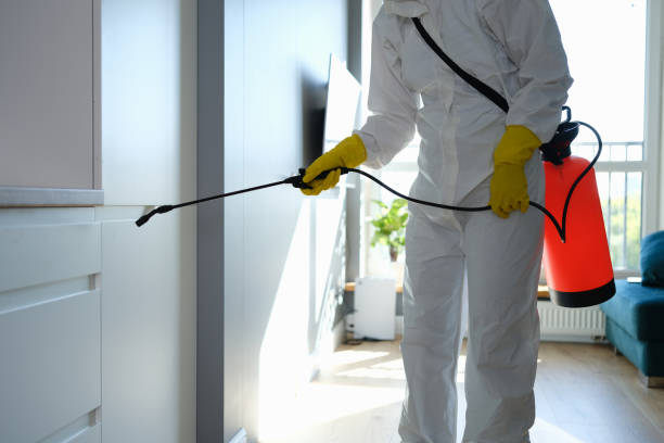 Mold Testing and Removal in Sisters, OR
