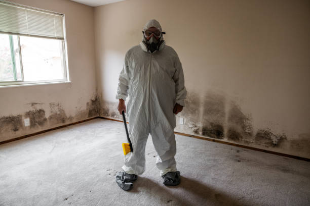 Best Crawl Space Mold Removal  in Sisters, OR